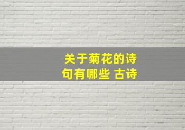 关于菊花的诗句有哪些 古诗